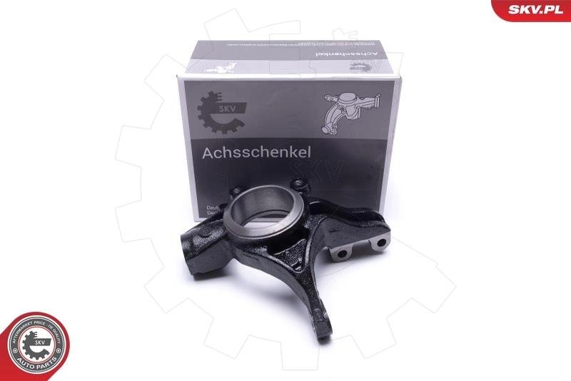 Steering Knuckle, wheel suspension